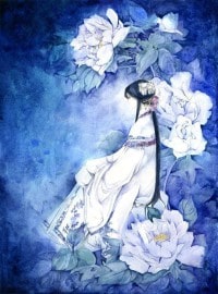 仙人杂货铺