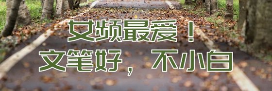 女頻最愛！文筆好，不小白