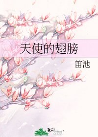 天使的翅膀